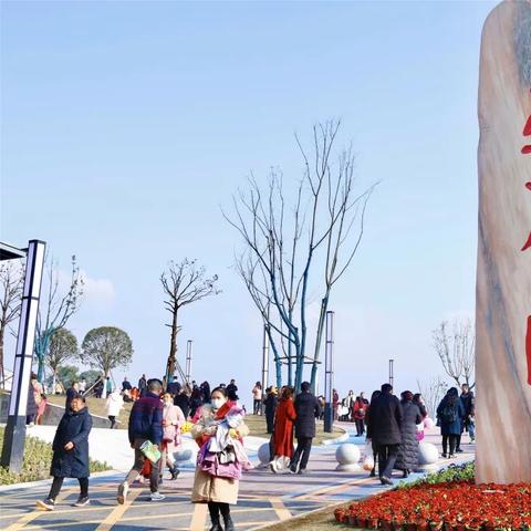 协兴园区最新动态深度解读