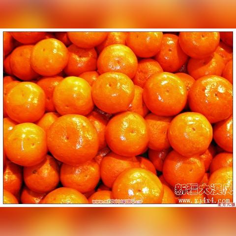 榴草微信动态解读报告，最新更新解析