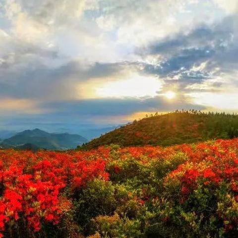 最新传奇私服网站，虚拟世界探险宝藏