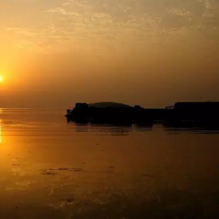 揭秘上海最新人事费维照，构成与变化概览