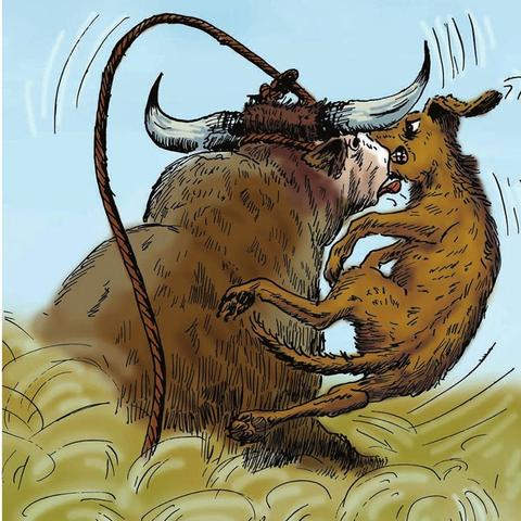 汉克狗最新破解版深度解析与体验分享