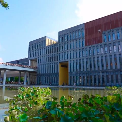 广东省最新大学排名报告出炉，2025排名解析