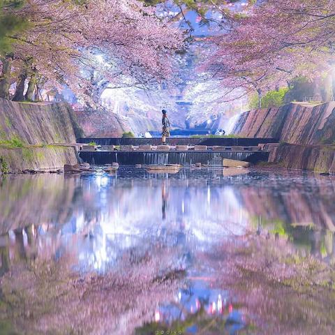 苹果微信下载指南，最新版本安装教程