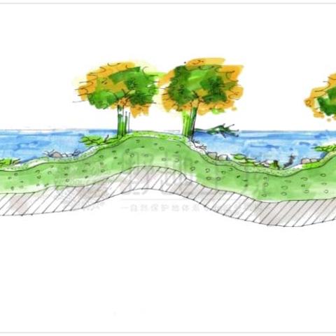 邹城市太平镇新闻速递