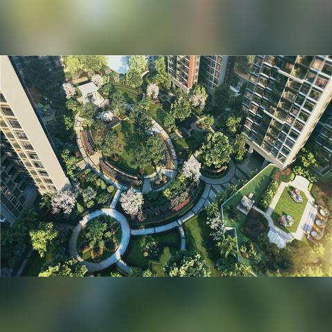 壹城中心学校最新动态通知