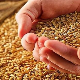 国内尿素市场价格动态解析