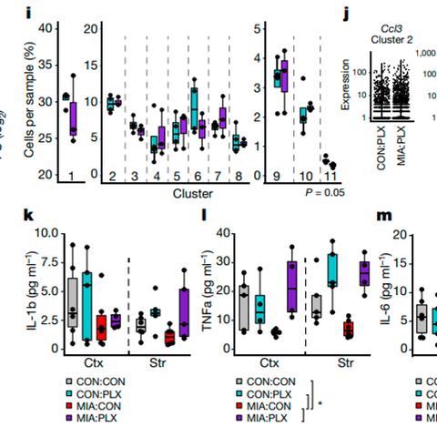 成都五环路最新进展消息