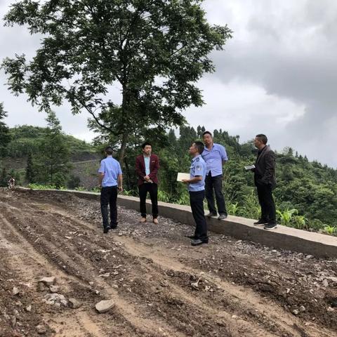 微七星关修路进展实时报道