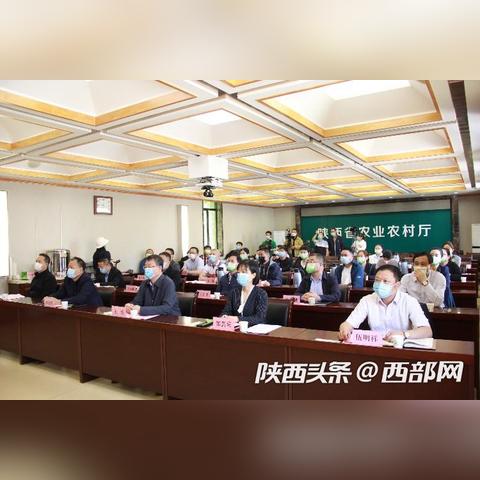 陕西省西乡县最新新闻资讯
