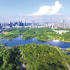 中央棚户区改造最新动态深度解读