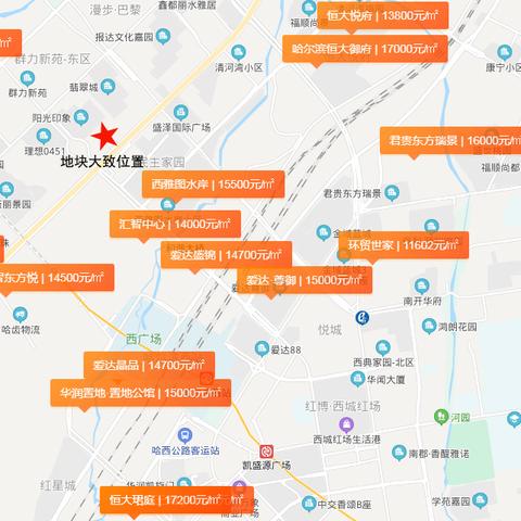 桐楠格领誉最新动态报道