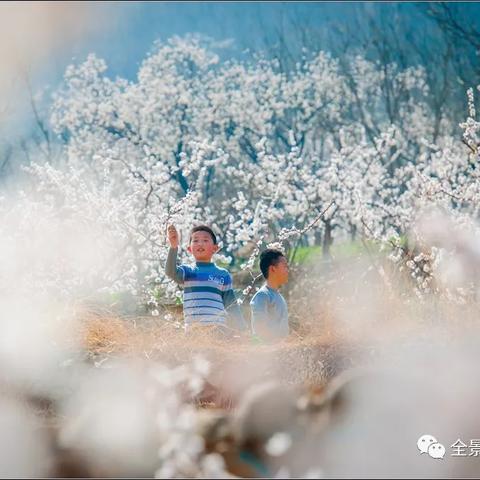 陆韩最新章节，暖阳如沙的探寻之旅