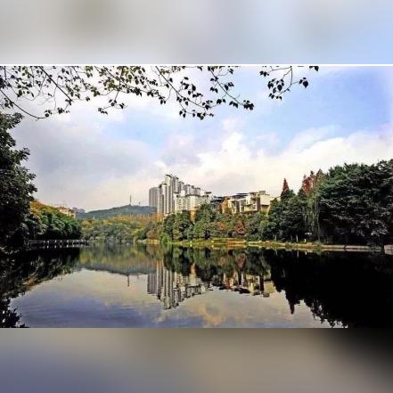 金科集美嘉悦最新动态全面解读