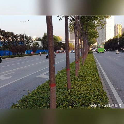 南阳白河大道建设最新进展报告