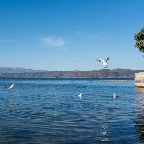 苍山县最新招聘信息更新，求职招聘数据全面展示