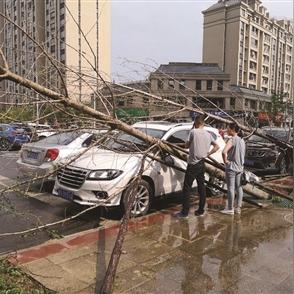 安顺家喻五洲房价最新走势分析