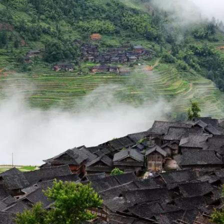 百里竹海动态更新