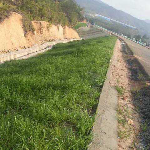 兴赣高速北延最新动态更新