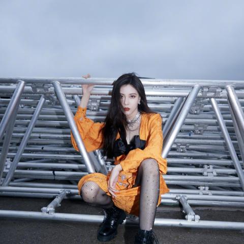 张一山综艺节目魅力与影响力大揭秘