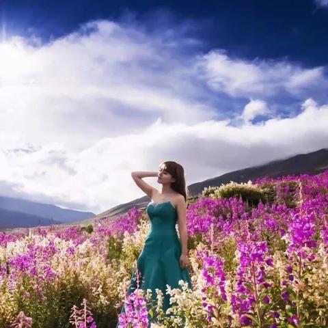 下载爱唱最新版，体验全新音乐盛宴功能