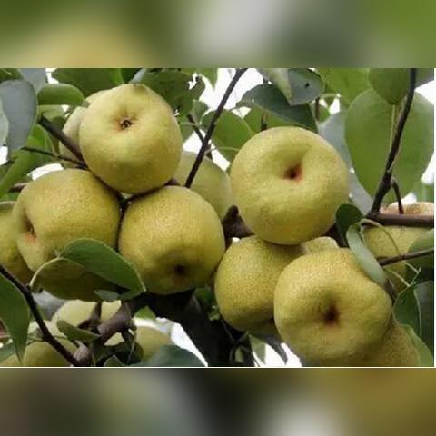 钱宝网最新动态，2025年深度解读