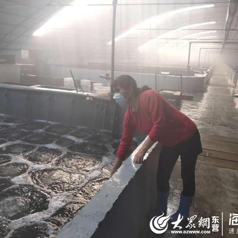 河口新户镇最新新闻动态报道