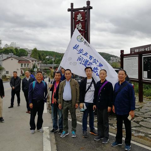 任森科技新三版最新股价数据分析报告