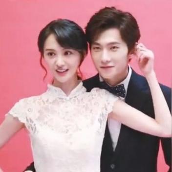 杨洋与郑爽最新动态，深度解读