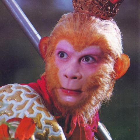 老鼠精长条图最新分析与展望简报