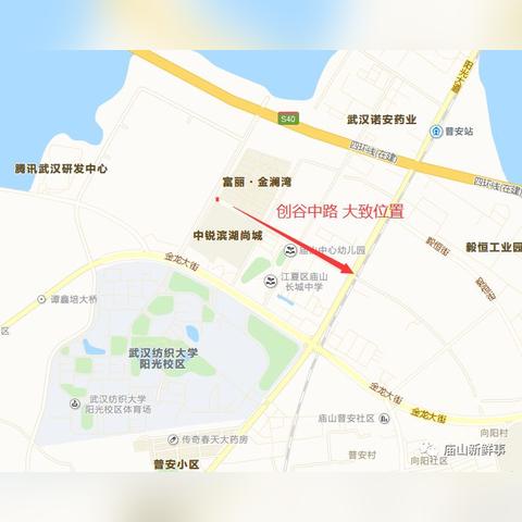 江夏金澜湾最新动态全面解读