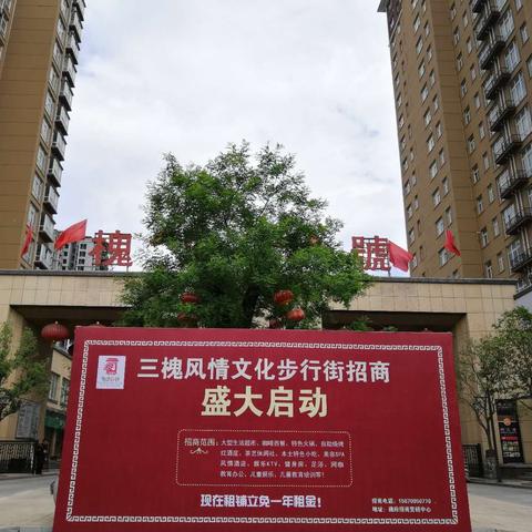 沈丘新东环路建设最新进展报告速递