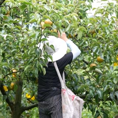 龙里县醒狮镇地图最新解析