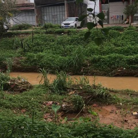 五华县华城镇新闻速递