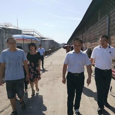 四川泸州太伏最新消息报道速递