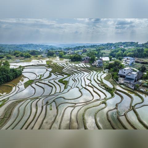 四川泸州太伏最新消息报道速递