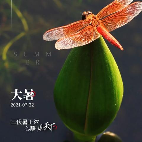 朋友圈最新早安问候语祝福