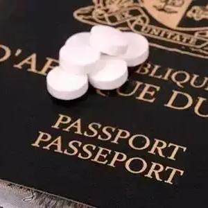 精神病新药伊潘立酮研究与应用综述