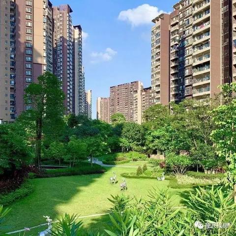 新福港鼎峰最新动态报道