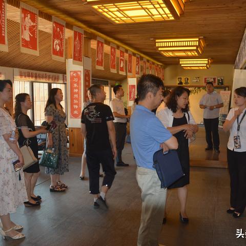 东北大集体最新动态深度解读