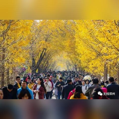 邳州铁富事件最新进展，深度解读进展动态