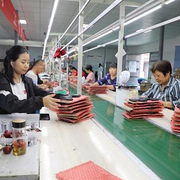 枞阳县金社动态更新，最新消息汇总