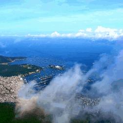 阳江滨海新区动态更新，最新消息汇总