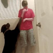 留美女硕士失踪最新进展报道