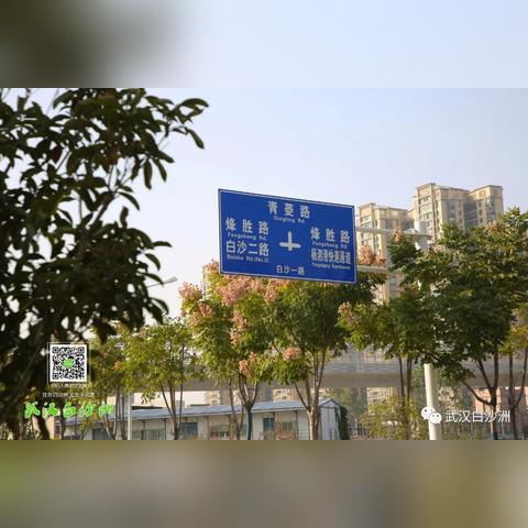 白沙洲菁英城最新动态深度解析