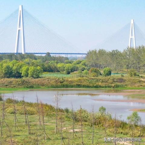 武汉地铁19号线最新进展消息速递