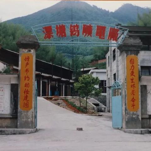 大余新城镇最新动态消息速递