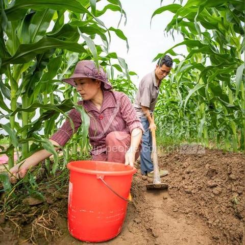 瑞安市马屿镇新闻速递