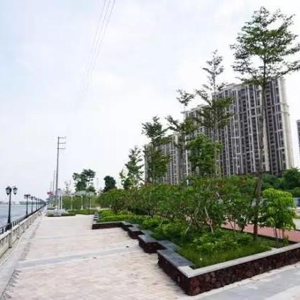 中山市西区最新房价消息