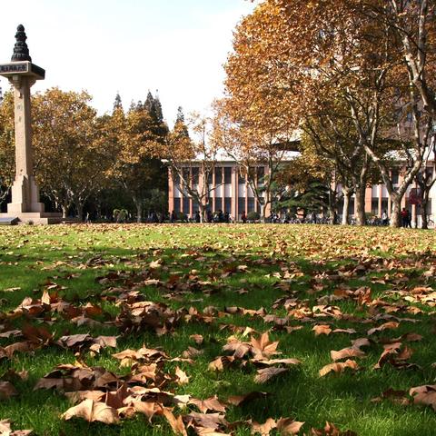 重庆市最新大学排名XXXX年榜单揭晓