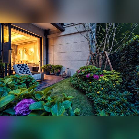 成新蒲高铁最新动态深度解析